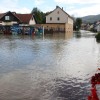 img_2813_kostanjevica_16__10__2015_x.jpg