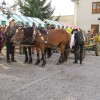 img_0119_14_1_000.jpg