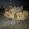 img_2988_viva__22_.jpg
