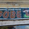 _gobe__17_.jpg