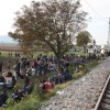 rigonce_male001.jpg