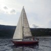 _regata__14_.jpg