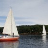 _regata__15_.jpg
