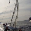 _regata__7_.jpg