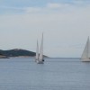 _regata__11_.jpg