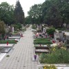 žale