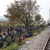 rigonce_male001.jpg