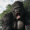 king kong.jpg