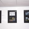 foto__011.jpg