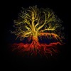tree_of_life.jpg