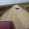 img_3496___11_.jpg