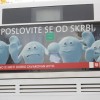 img_3496___3_.jpg