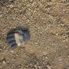 img_3496___22_.jpg