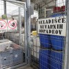 Nevarni gospodinjski odpadki
