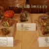 img_5777.jpg