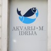 Akvarij M gre v Ljubljano.