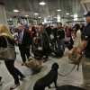 Penn Station streljanje new york.jpg