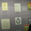 img_0714_28_1_000.jpg