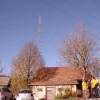 peticija__012.jpg