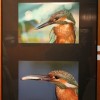 fotografi_011.jpg