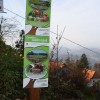 levstikoa_pot017.jpg