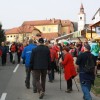 levstikoa_pot036.jpg