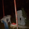 519_000.jpg