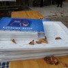 ex_tempore_rihpovec_011.jpg