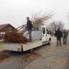 javor__4_.jpg