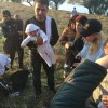 lesbos6.jpg