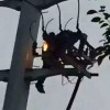 luo, električni drog.jpg