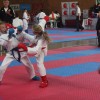 _zkarate__8_.jpg