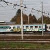 img_3456.jpg
