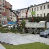 Zagorje, novoletna smreka.jpg