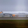 condor.jpg