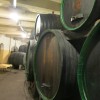 Vinski sodi