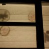 img_4349_000.jpg