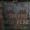 twin peaks.jpg