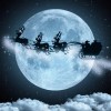 polna luna