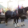 img_2199_5_1_000.jpg