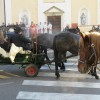 img_2222_28_1_000.jpg
