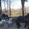 stefan__058.jpg