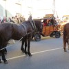 img_2215_21_1_000.jpg