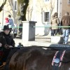 img_4669_000.jpg