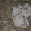 dsc_9168_000.jpg