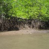 sam_0817_000.jpg