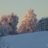 fotke__2_.jpg