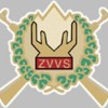 veterani logo.jpg