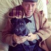 Andy Smith, Gracie, pes, psička, patterdalski terier.jpg