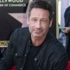 David Duchovny - foto 1
